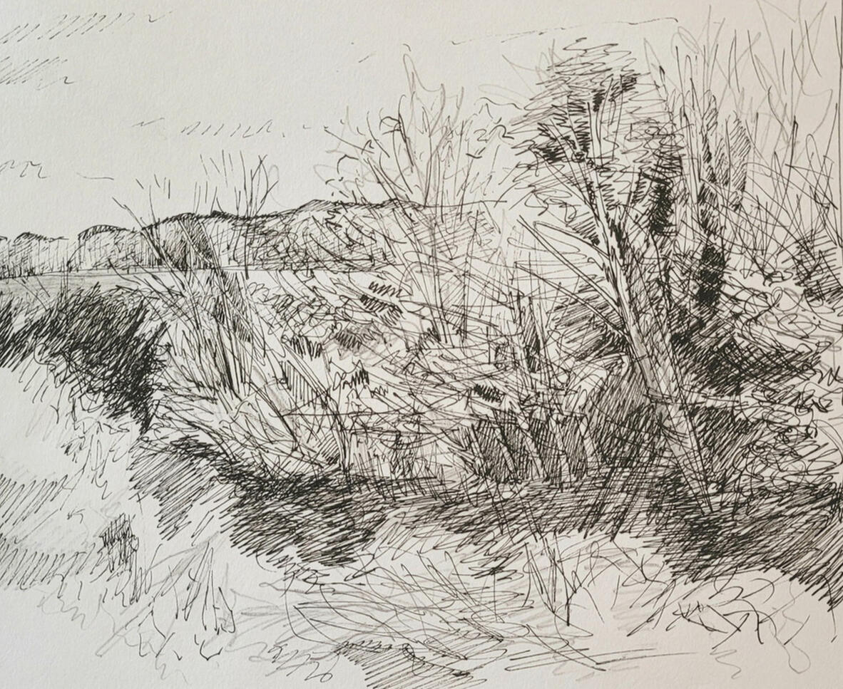 Untitled Untitled